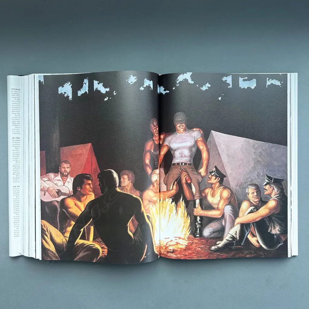 DIAN HANSON: TOM OF FINLAND Image 1++